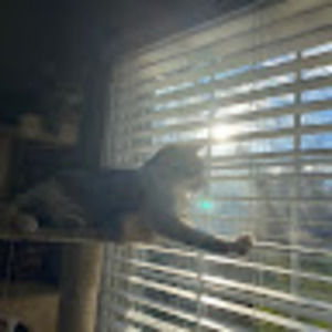 Meet your Posher, Caroline